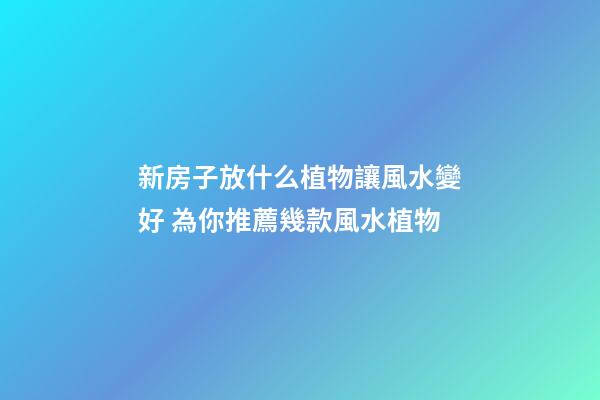 新房子放什么植物讓風水變好 為你推薦幾款風水植物